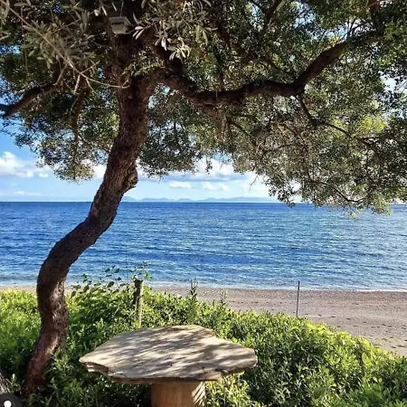 Villa Dadya 2 - With Private Pool - 750m Distance To The Datca